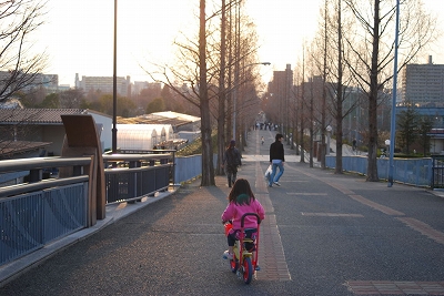 dsc_4411.jpg