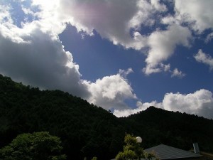 rimg0029