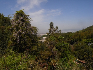RIMG6316