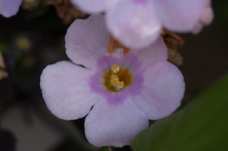 20140131-122355.jpg