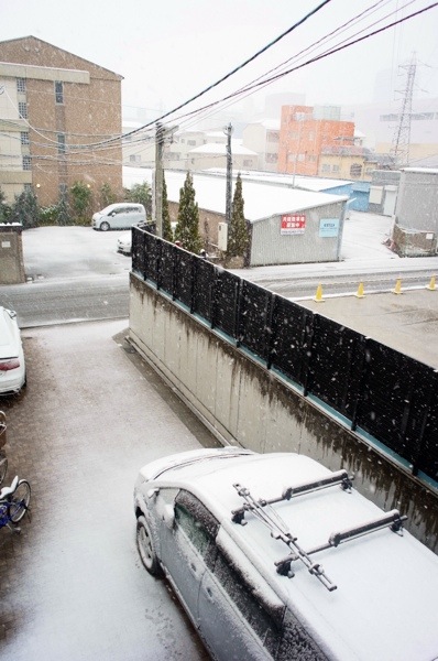 20140214-080235.jpg