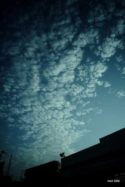 DSCF3659