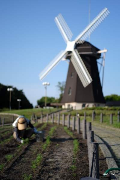 DSCF3786